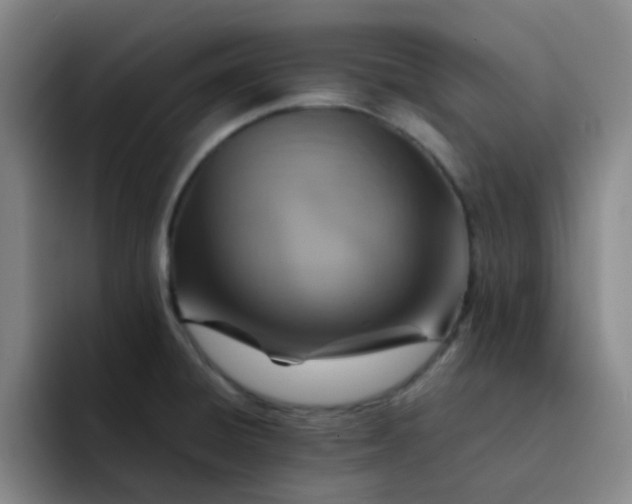 X0000092051428200709262001