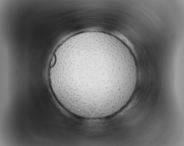 X0000092051429200709262001