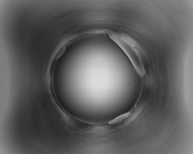 X0000092051430200709262001