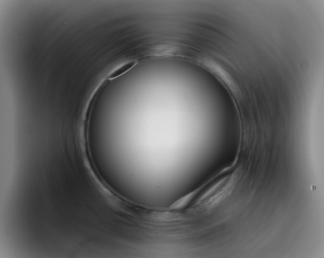 X0000092051434200709262001