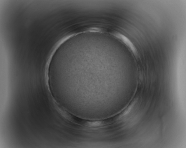 X0000092051435200709262001