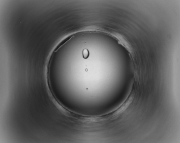 X0000092051438200709262001