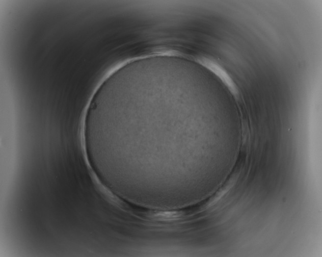 X0000092051439200709262001