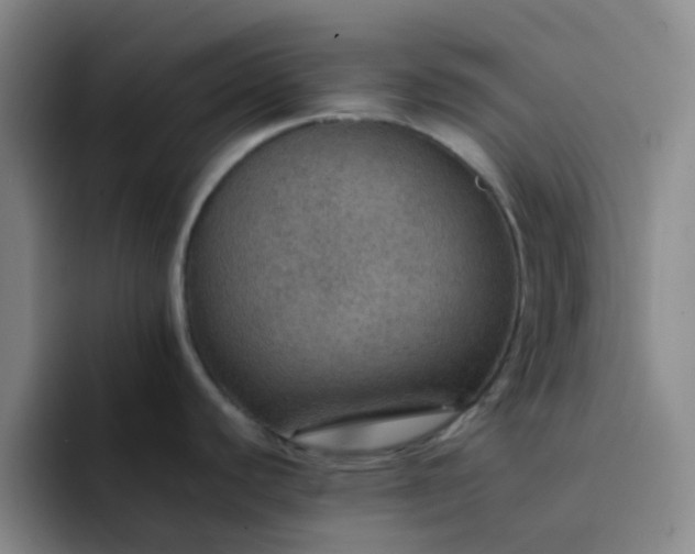 X0000092051440200709262001