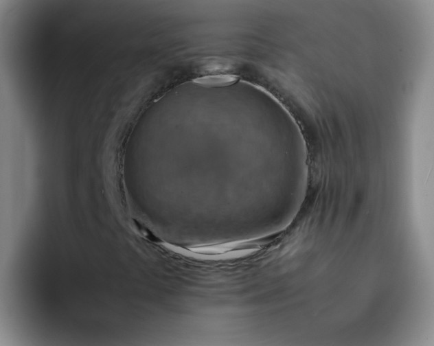 X0000092051441200709262000