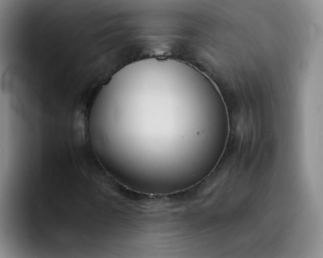 X0000092051442200709262000