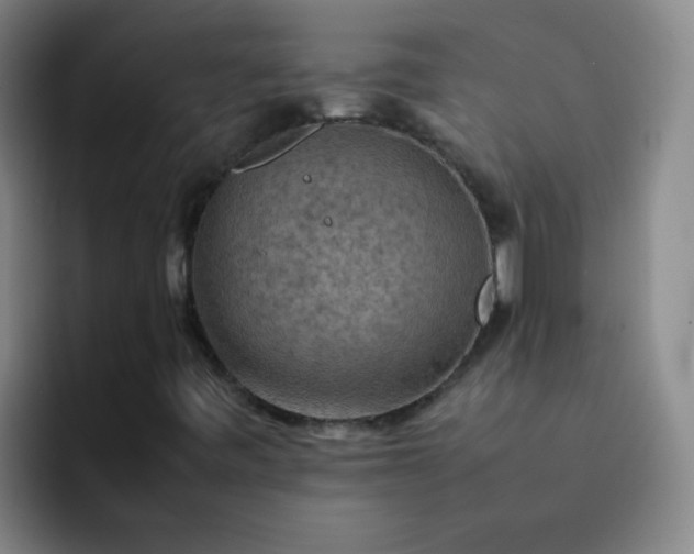 X0000092051443200709262000