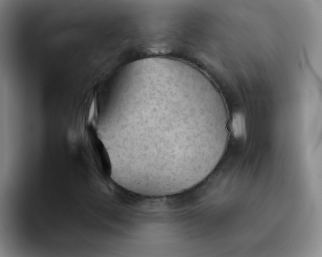 X0000092051444200709262000