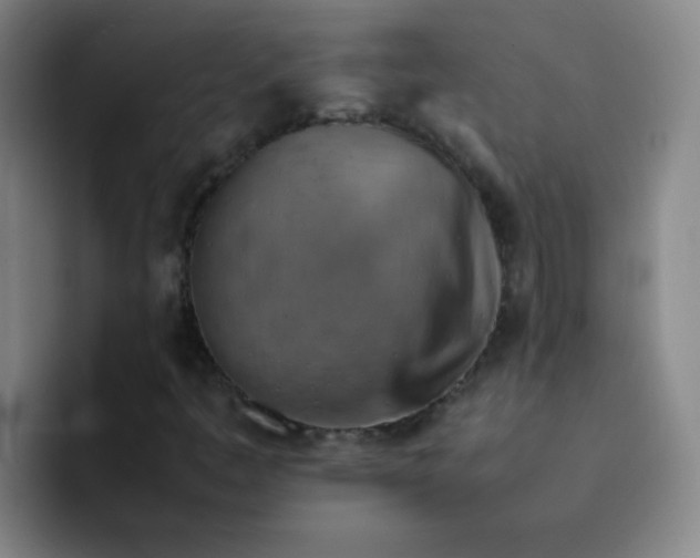 X0000092051445200709262000