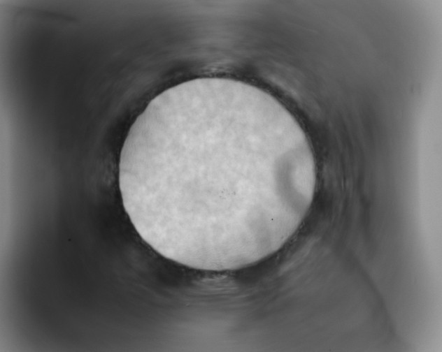 X0000092051447200709262000