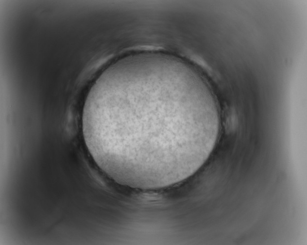 X0000092051448200709262000