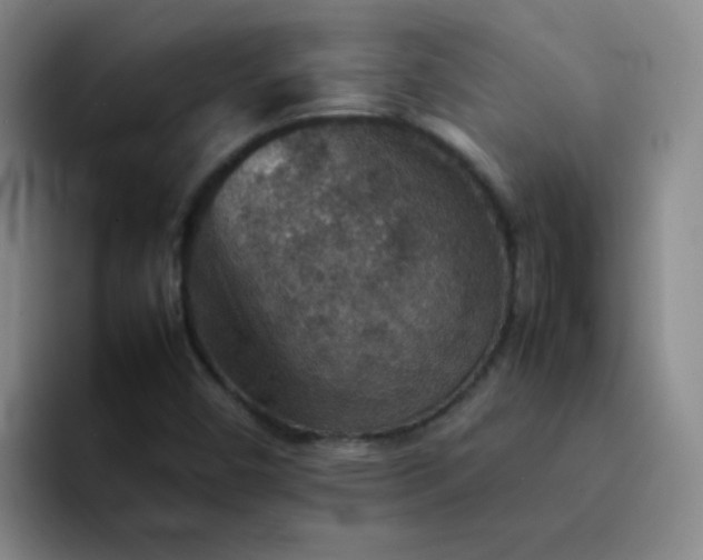 X0000092051450200709262000