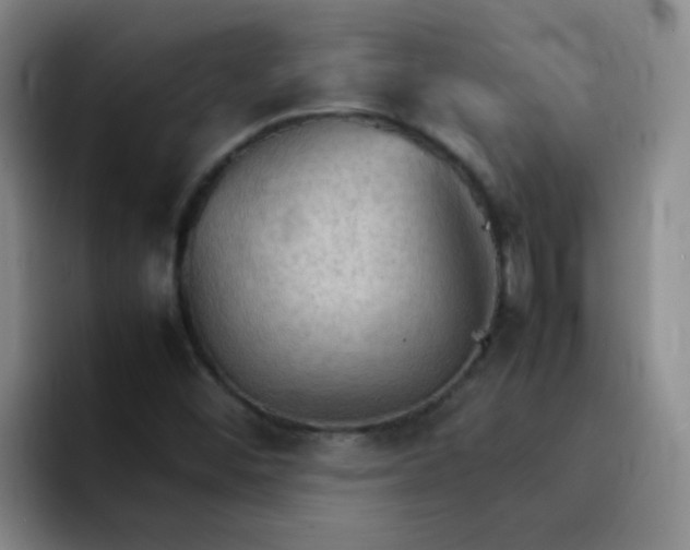 X0000092051452200709262000