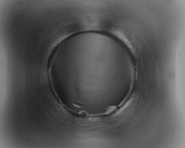 X0000092051453200709262000