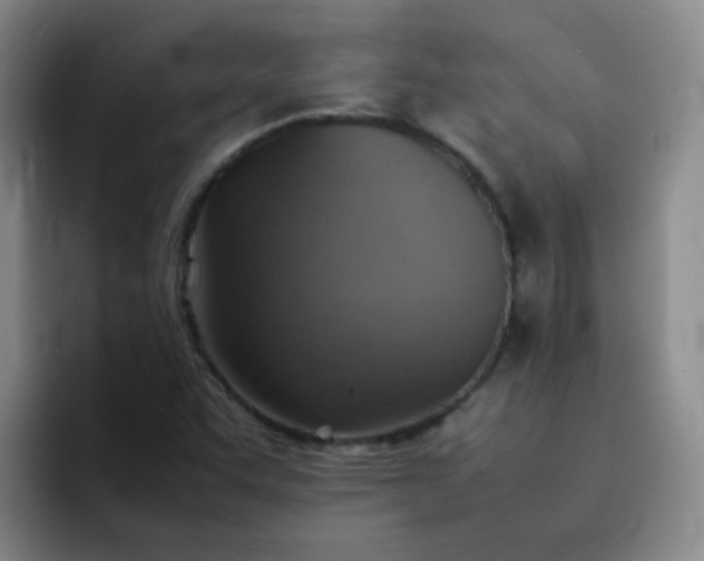 X0000092051455200709262000