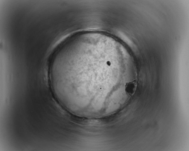 X0000092051456200709262000