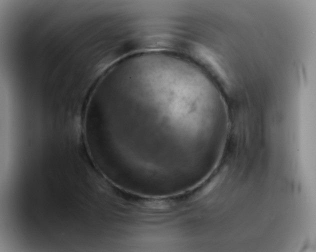 X0000092051457200709262000