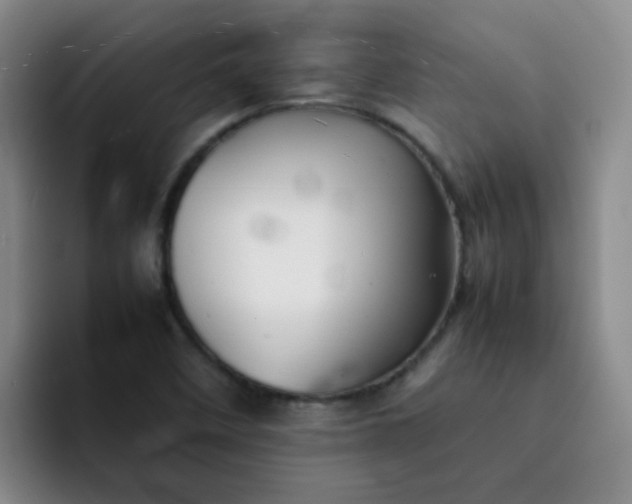 X0000092051458200709262000