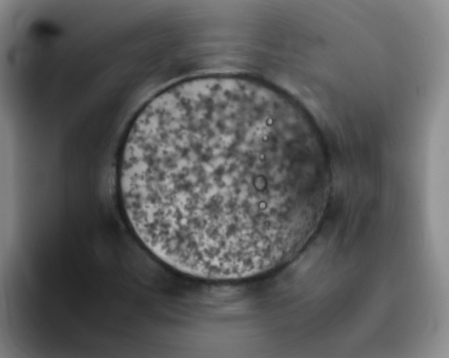 X0000092051459200709262000