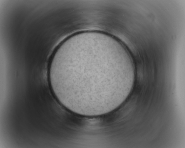 X0000092051460200709262000