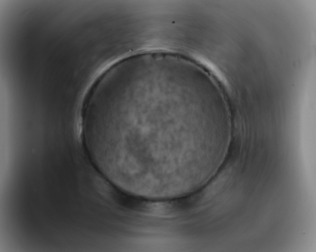 X0000092051461200709262000