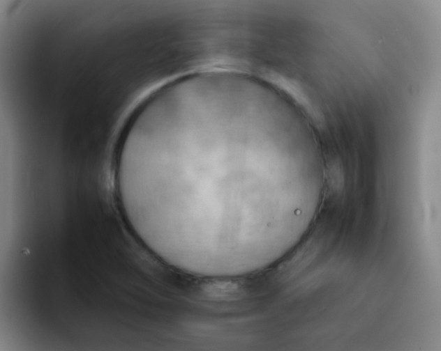 X0000092051462200709262000