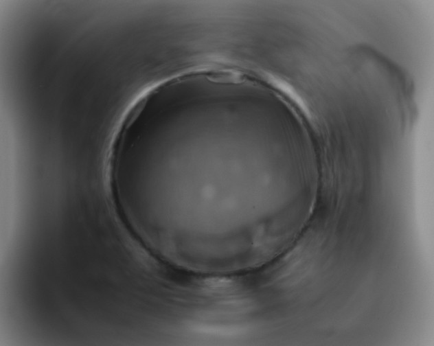 X0000092051463200709262000