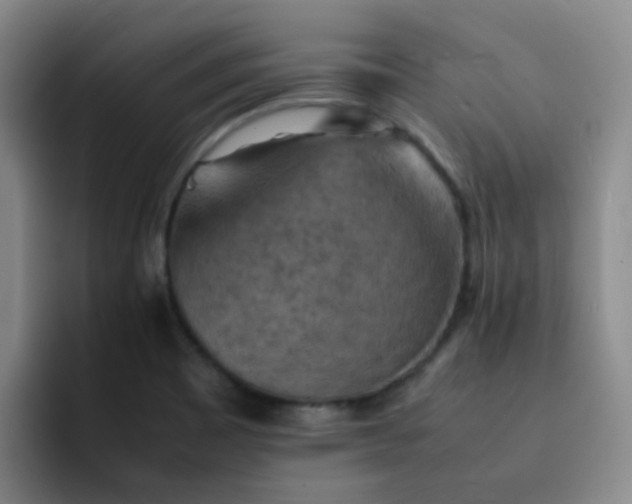 X0000092051465200709262000