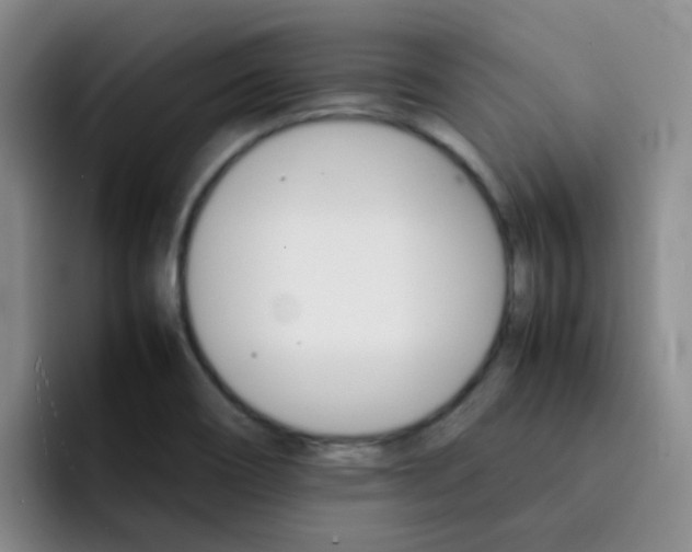 X0000092051466200709262000