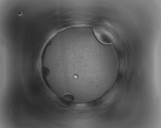 X0000092051467200709262000