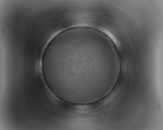 X0000092051468200709262000