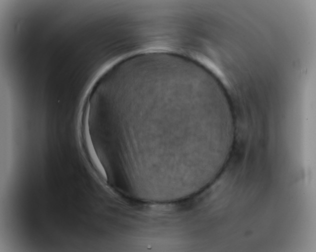 X0000092051469200709262000