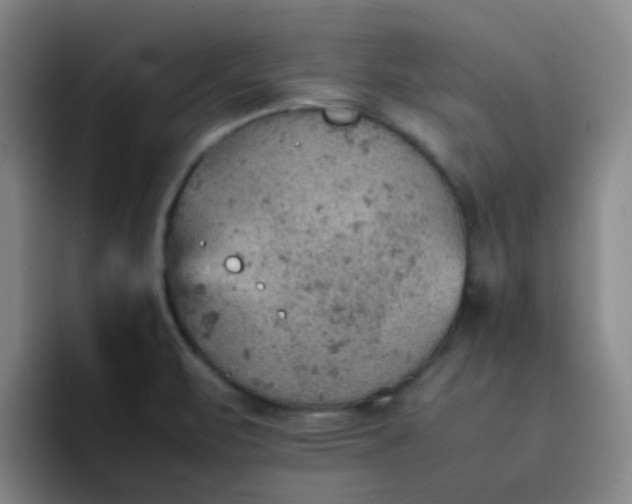 X0000092051471200709262000