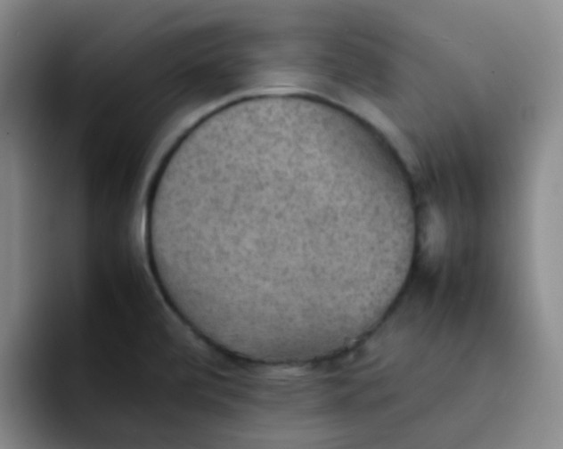 X0000092051472200709262000