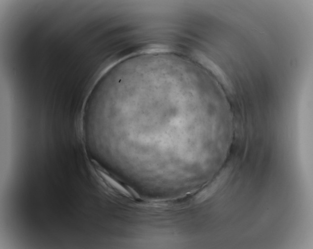 X0000092051473200709262000