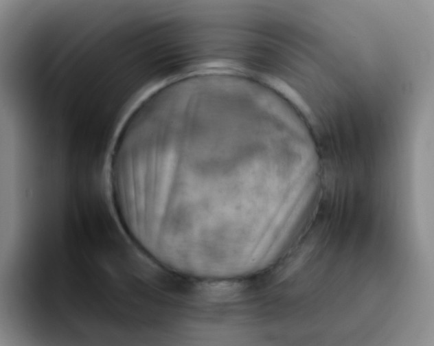 X0000092051474200709262000