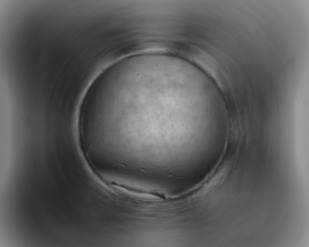 X0000092051475200709262000