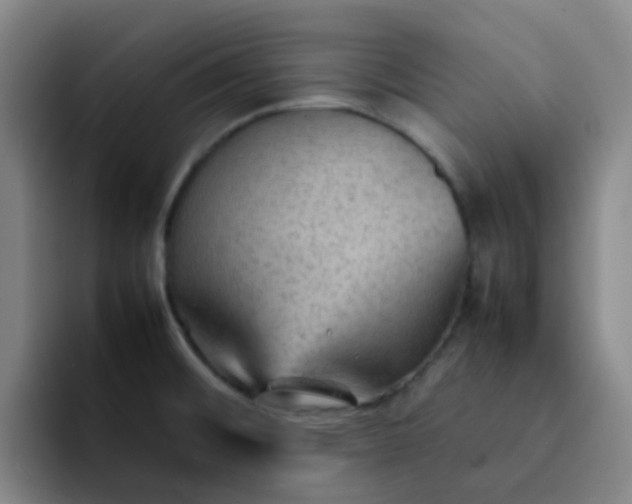 X0000092051476200709262000