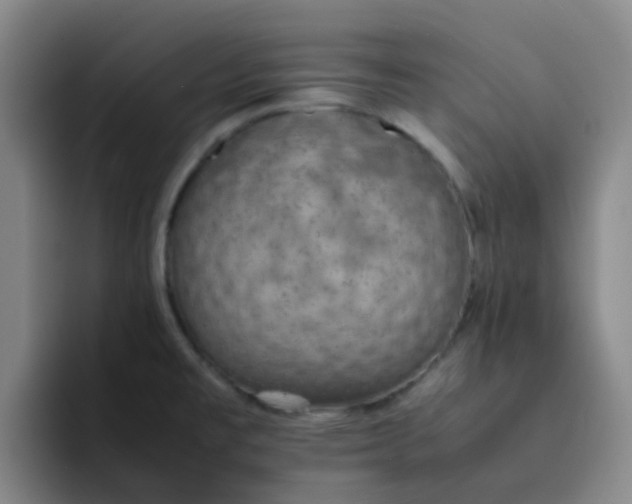 X0000092051477200709262000