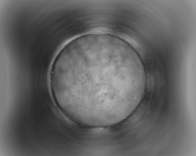 X0000092051478200709262000