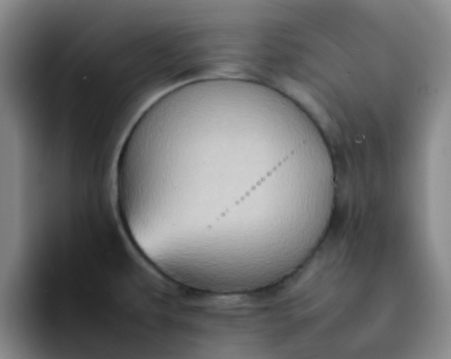 X0000092051479200709262000