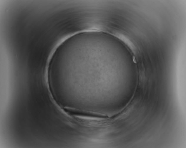 X0000092051480200709262000