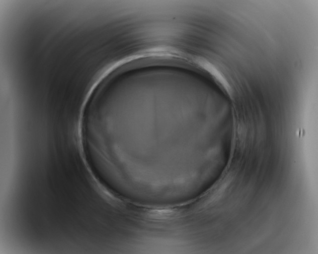 X0000092051482200709262000