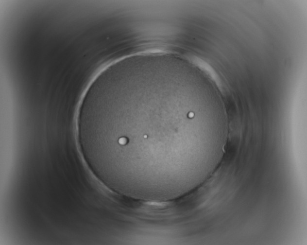 X0000092051483200709262000