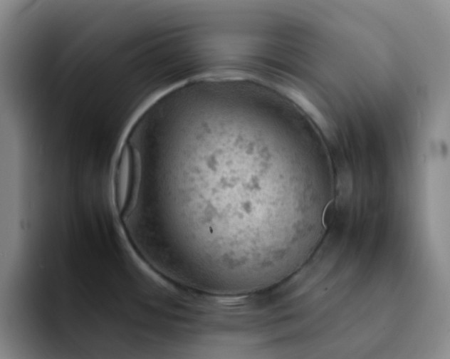 X0000092051484200709262000