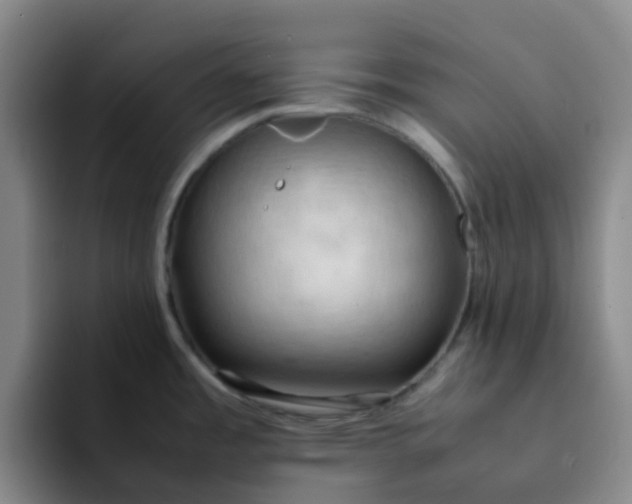 X0000092051485200709262000