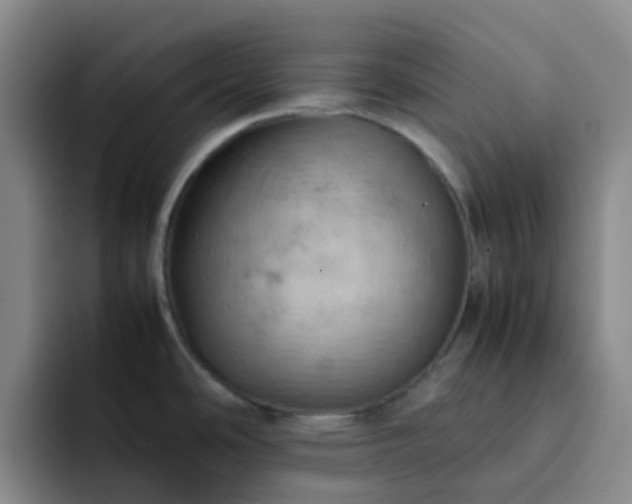 X0000092051486200709262000