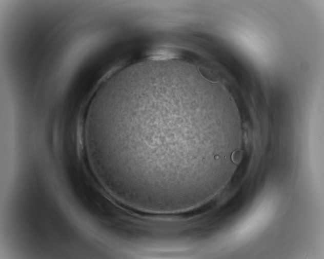 X0000092051487200709262000