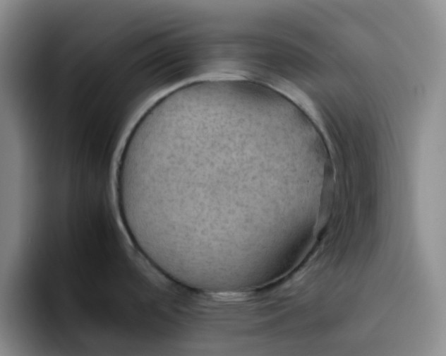 X0000092051488200709262000