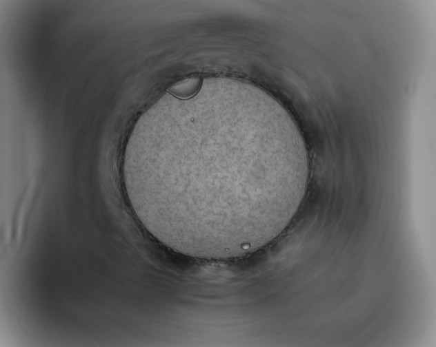 X0000092051489200709261959